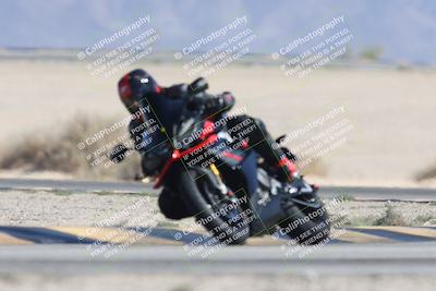 media/Oct-13-2025-Moto Forza (Mon) [[a66d839500]]/3-B Group/Session 4 Turn 4 Tree of Life/